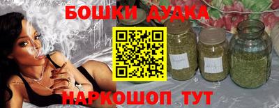 индика Сланцы