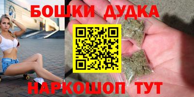 индика Сланцы