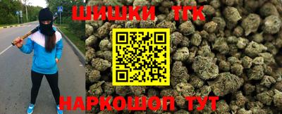 индика Сланцы