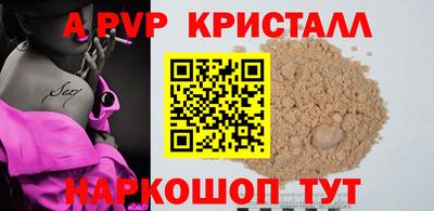 индика Сланцы
