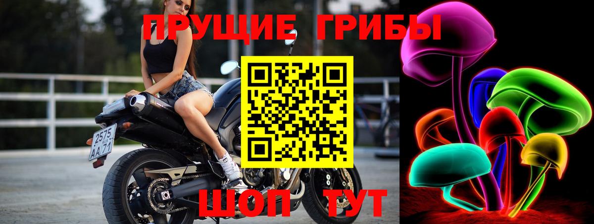 Псилоцибиновые грибы GOLDEN TEACHER  Псилоцибиновые грибы MAGIC MUSHROOMS  Минусинск  цена   Вход с VPN 